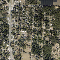 De Leon Springs map(satellite map)