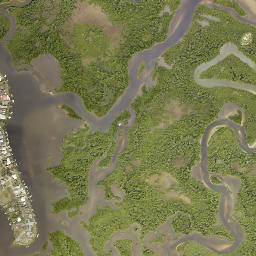 Harbor Oaks Florida High Resolution Satellite Map