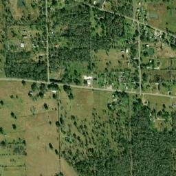 Wild Peach Village map(satellite map)