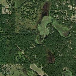 Forest Lakes Park Florida High Resolution Satellite Map