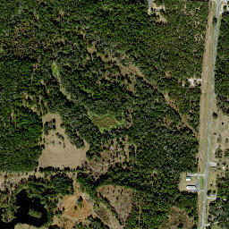 Chatmire Florida High Resolution Satellite Map