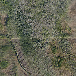 Volusia County map(satellite map)