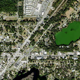 Dunnellon map(satellite map)
