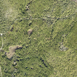 Saint Francis Florida High Resolution Satellite Map