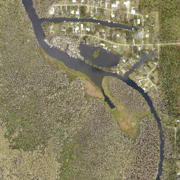 Daisy Lake Florida High Resolution Satellite Map