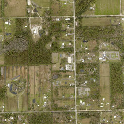 Samsula Florida High Resolution Satellite Map