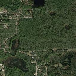 Big Scrub Florida High Resolution Satellite Map