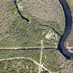 River Forest Florida High Resolution Satellite Map