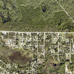 Lake Mack-Forest Hills map(satellite map)