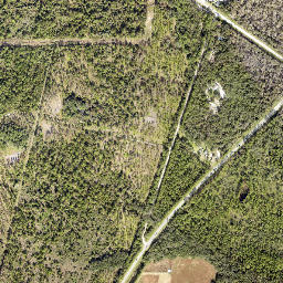 Crows Bluff Florida High Resolution Satellite Map