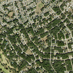 Citrus Springs map(satellite map)