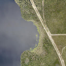 Fatio Florida High Resolution Satellite Map