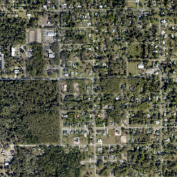 Lake Helen map(satellite map)