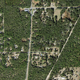 Citronelle Florida High Resolution Satellite Map