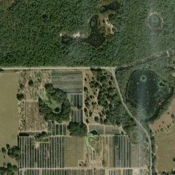 Linadale Florida High Resolution Satellite Map