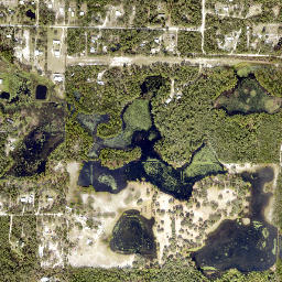 Pine Hills Florida High Resolution Satellite Map