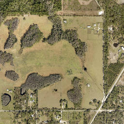 Alamana Florida High Resolution Satellite Map