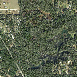 Seacoll Florida High Resolution Satellite Map