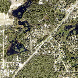 South Pine Lakes Florida High Resolution Satellite Map