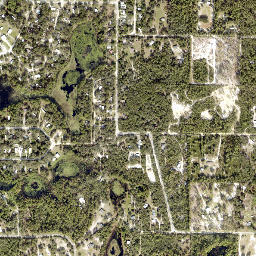Pine Lakes Florida High Resolution Satellite Map