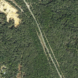 Felicia Florida High Resolution Satellite Map