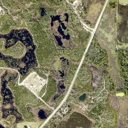 31208-31314 Florida 44 Eustis FL 32736 High Resolution Satellite Map