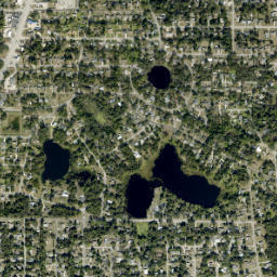 DeBary map(satellite map)