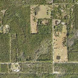 Farmton Florida High Resolution Satellite Map