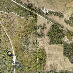 Ethel Florida High Resolution Satellite Map