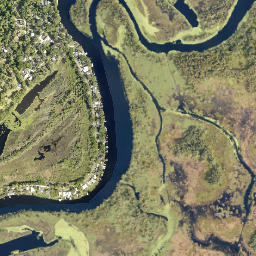 Lemon Bluff Florida High Resolution Satellite Map