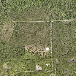 Pennichaw Florida High Resolution Satellite Map