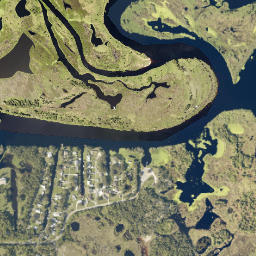 Palm Shadows Florida High Resolution Satellite Map