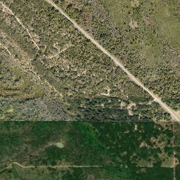 Shiloh Florida High Resolution Satellite Map