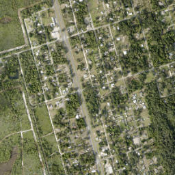 Scottsmoor Florida High Resolution Satellite Map