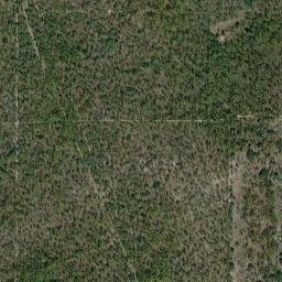 Landrum Florida High Resolution Satellite Map