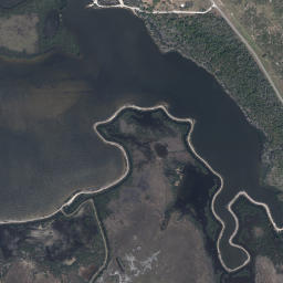 Dummit Grove Florida High Resolution Satellite Map