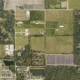 Neheb Florida High Resolution Satellite Map