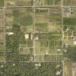 Truck Corner Florida High Resolution Satellite Map