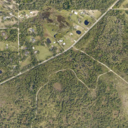 Kolokee Florida High Resolution Satellite Map