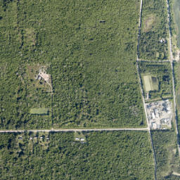 Wiley Florida High Resolution Satellite Map