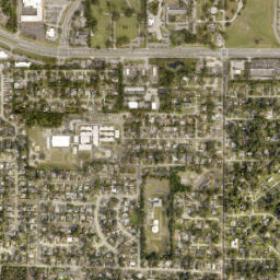 Forest City map(satellite map)