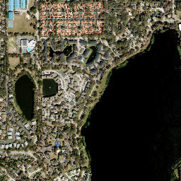 Rosemont Florida High Resolution Satellite Map