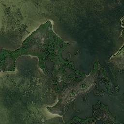 Cooglers Beach Florida High Resolution Satellite Map