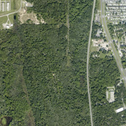 Bellwood Florida High Resolution Satellite Map