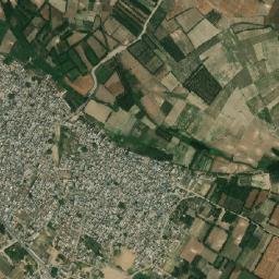 Sarauli map(satellite map)