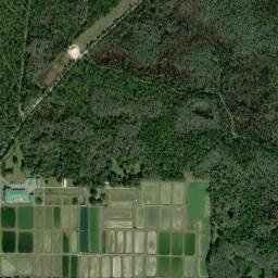 Bevell Place Florida High Resolution Satellite Map