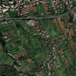 Tacoronte map(satellite map)