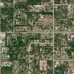 Shady Hills map(satellite map)