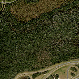 Satellite view of Disney's Lake Buena Vista Golf Course