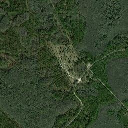 Cumpressco Florida High Resolution Satellite Map